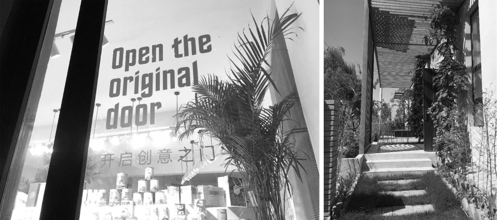 1555493221636473.jpg 1555493221636473.jpg